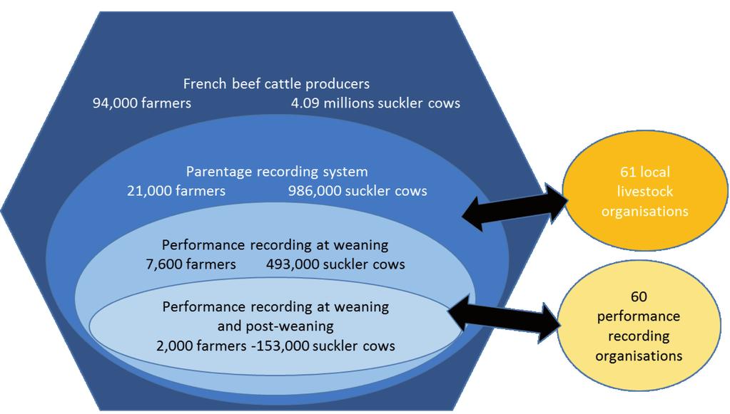 The French beef cattle performance recording scheme Firstly, France has a large parentage recording system with about 4.