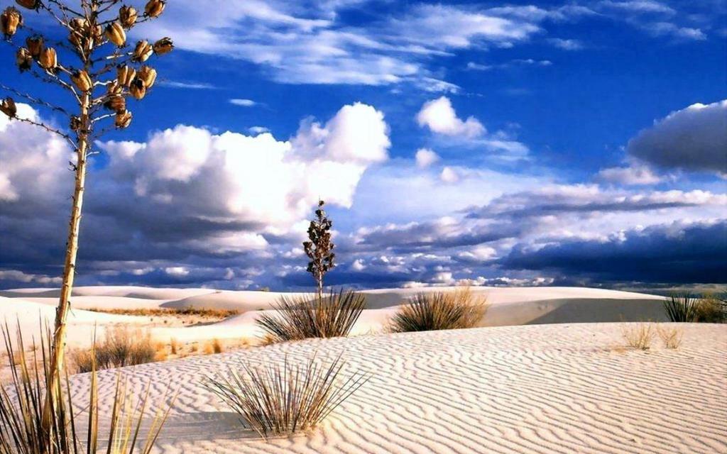 Desert Desert less than 25 cm of rain a year many