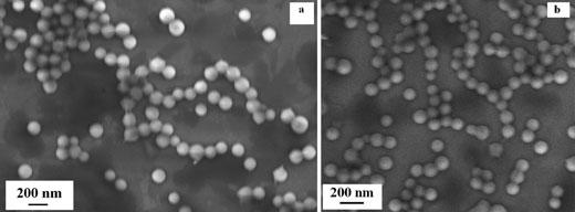 1076 WANG ET AL. Figure 8. Scanning electron microscope images of DOX-loaded HP-$-CD-PLA-DPPE (30:1) nanoparticles fabrication by (a) double emulsion and (b) nanoprecipitation.