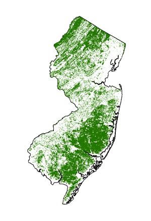 Wildfire Hazard: - (data rank =.079) The Wildfire Hazard layer was created using both the NJDEP land use / land cover vegetative data and USGS 10- meter digital elevation models (DEM).