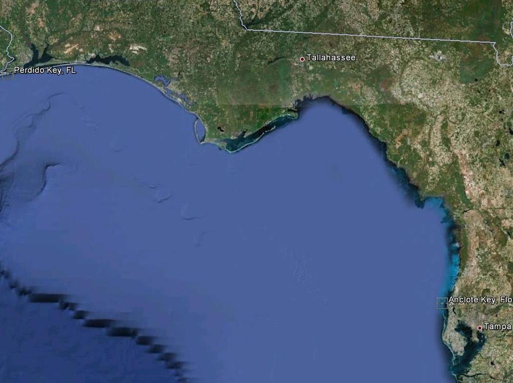 Focus Region 16 Coastal counties from Perdido Key east to Anclote Key 8 Large bay systems Many endemic and rare