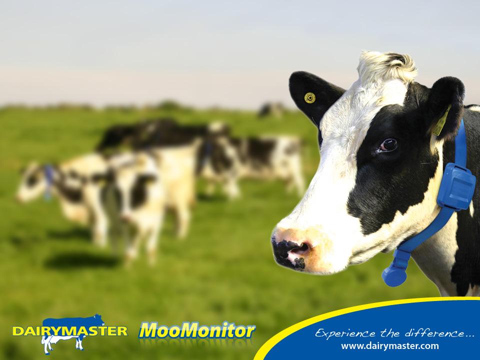 Dairymaster MooMonitor The app for heat detection & results of on-farm studies. Dr.