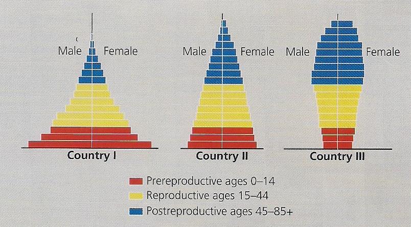 Questions 29 AND 30 refer to the age structure diagram below. 29. Which country or countries shows a high rate of increase in population growth?
