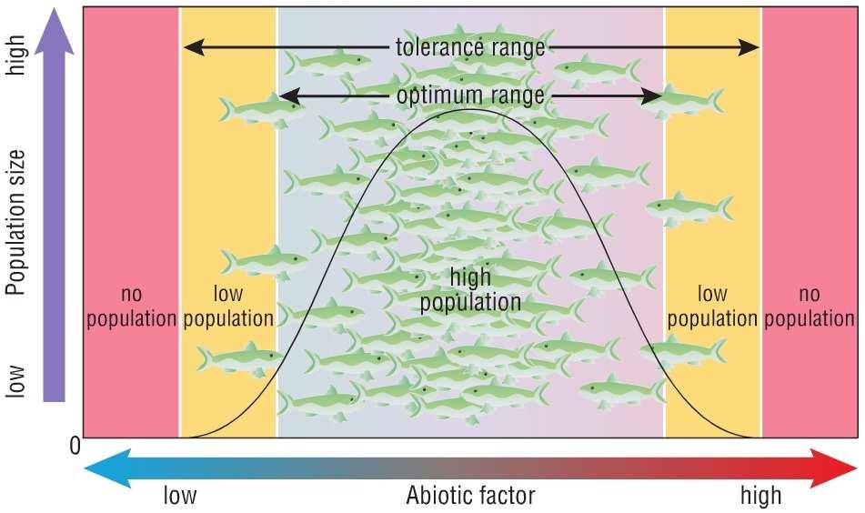 Abiotic Limiting Factors TOLERANCE RANGE range of abiotic conditions within which a species can survive August 6, 2014 1DBIOL - Factors That Affect Populations 6 While abiotic factors determine where