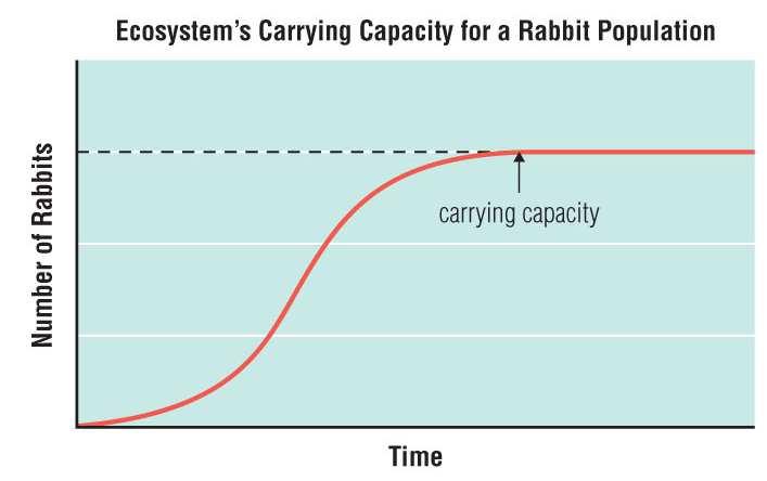 Carrying Capacity As a population grows, it requires more food, water, and space.