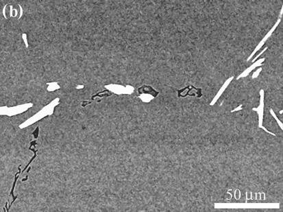 After mechanical polishing, the intermetallic particles on different locations of the ingot were observed by optical microscopy and scanning electron microscopy (SEM).