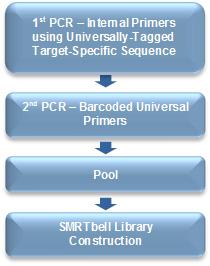 Procedure & Checklist - Preparing SMRTbell Libraries using PacBio Barcoded Universal Primers for Multiplex SMRT Sequencing Before You Begin This document describes methods for generating barcoded PCR