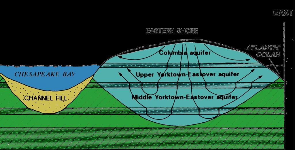 Water Table and Fresh Water Confined Aquifers on the Eastern Shore Fresh ground water is