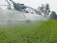 High efficiency irrigation equipment Benefit: Reduces groundwater use