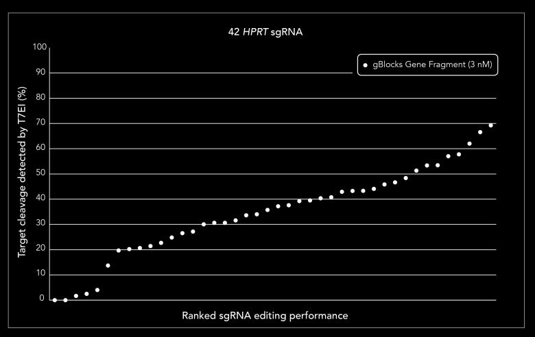 CRISPR gblocks Gene Fragments sgrna performance (3 genes; 301 sites) Guide sequences were made and tested for all PAM