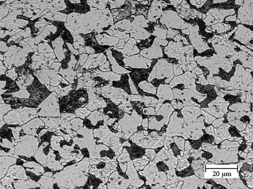 carbon microstructure
