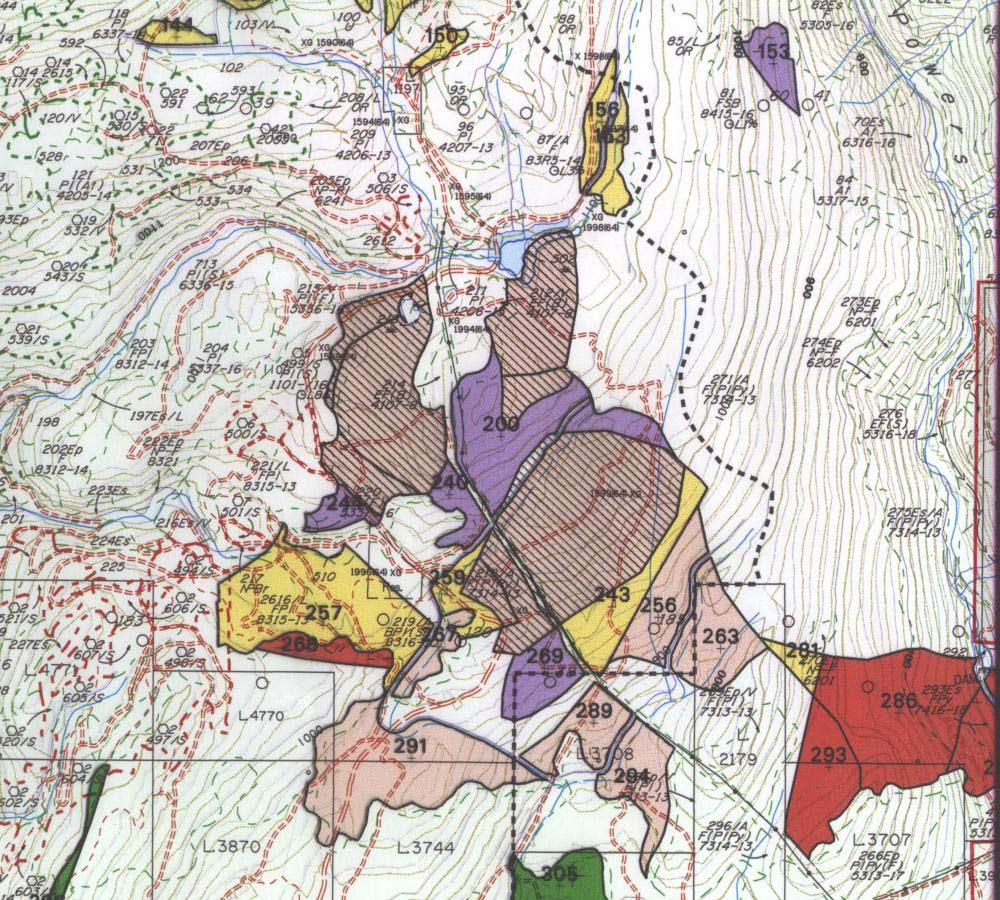 ReconnaissanceMap Forest Development Plan Map