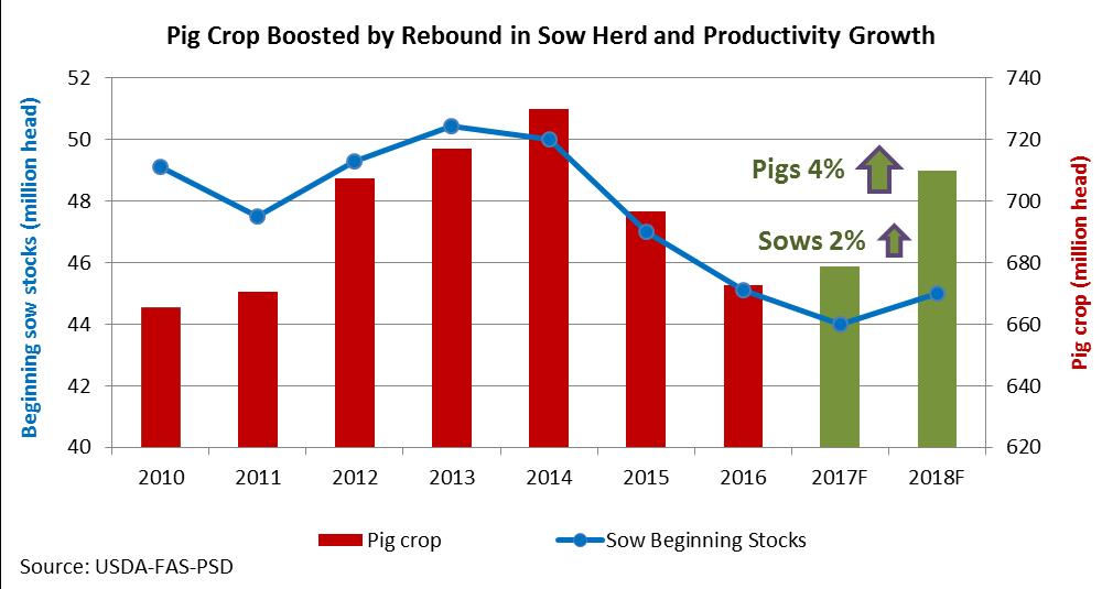 Hog Prices Expected to Decline Through 28 Historically high prices and the entry of modern farms led to a rebound in capacity that is partially offsetting the impact of farm closures.