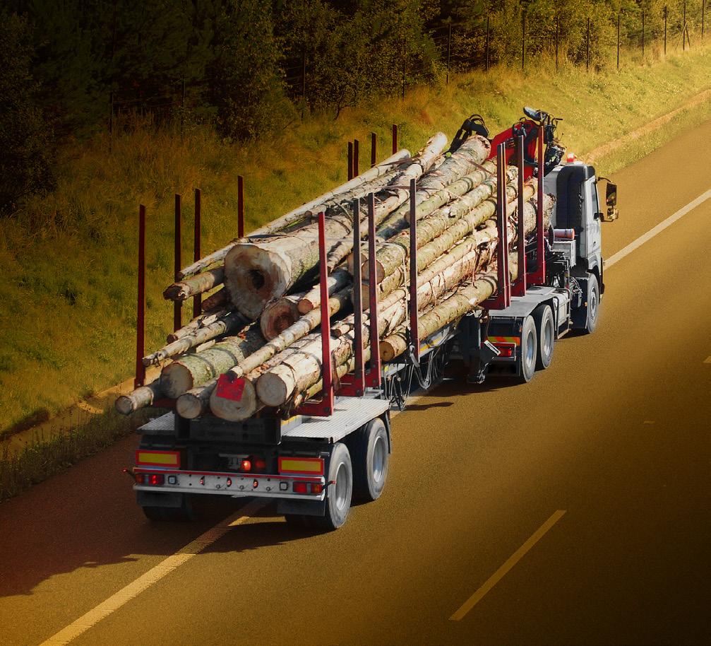 The truck weight limits associated with the designation of IH 69 in East Texas are of concern to the timber industry. This route is currently the main artery for timber movement from East Texas.