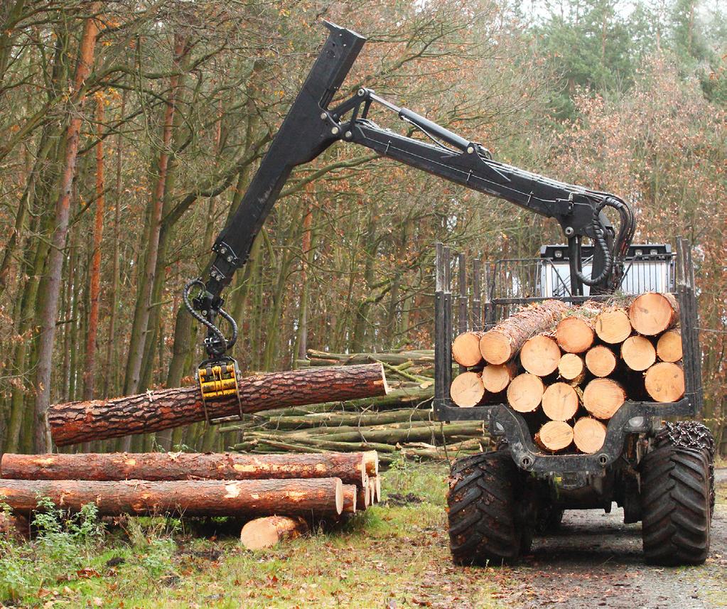 TRANSPORTATION Policy Research CENTER Timber, Wood, and Wood Product Export Supply Chain The timber, wood, and wood product supply chain begins at the forests in East Texas where logs are harvested
