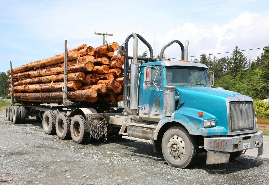 Transportation is a major component of the timber, wood, and wood product export supply chain.