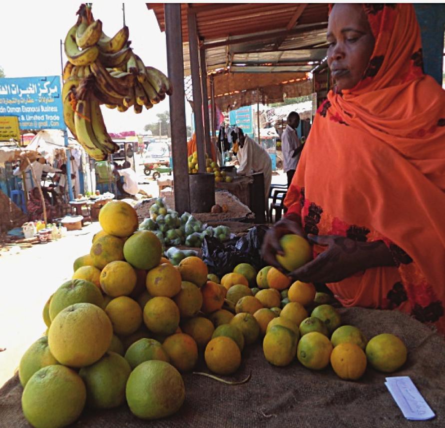 The exceptions were Garsilla and Bendisi markets where oranges were not available. The highest prices were reported in both Um Shalaya and Um Dukhun markets.