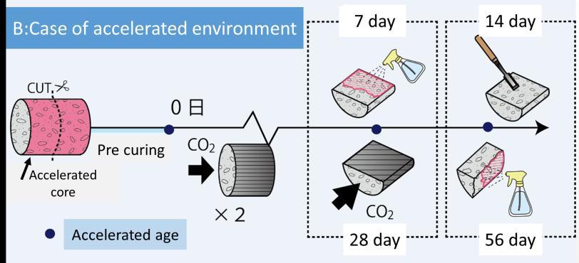 on this result, cutting samples were performed in the un-carbonated part as shown in Fig. 1, and it was divided into a real environment sample and an accelerated environment sample.