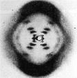 Franklin Used X-ray diffraction to study