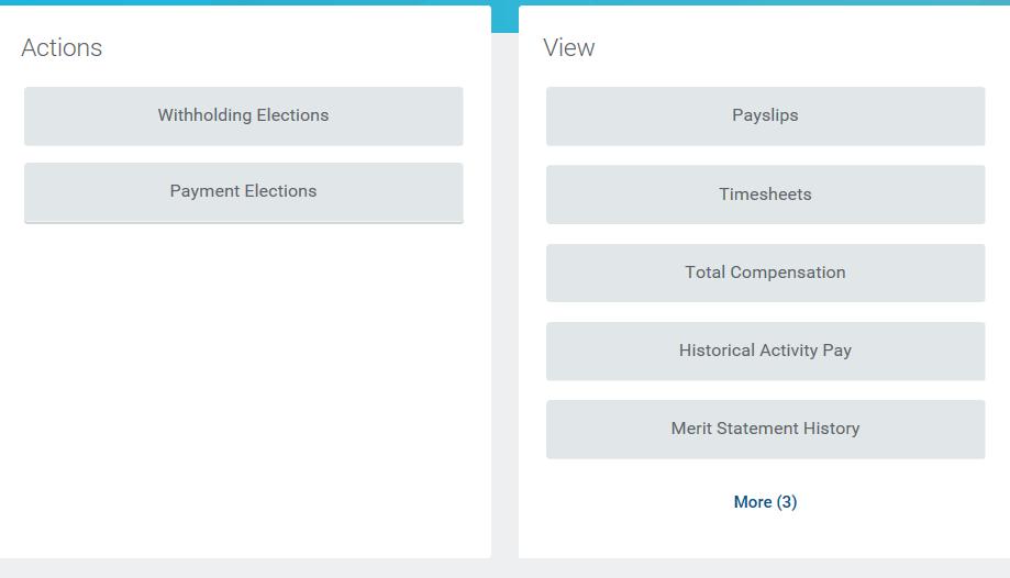 Elections link from your Pay Worklet.