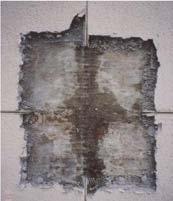 Despite industry advances in technology of building materials, buildings continue to leak.