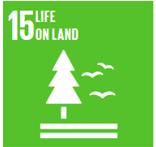 Sustainable Development Goals Some aspects of environmental sustainability 11. Sustainable and resilient cities and habitats 12. Sustainable consumption and production 13.