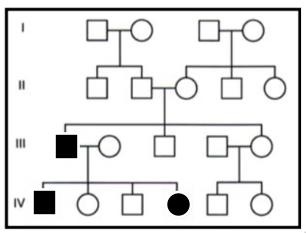 expression is controlled. 8. Consider the pedigree below that shows the occurrence of achondroplasia (dwarfism/short stature) in a family. Achondroplasia can be caused by mutations in the FGFR-3 gene.
