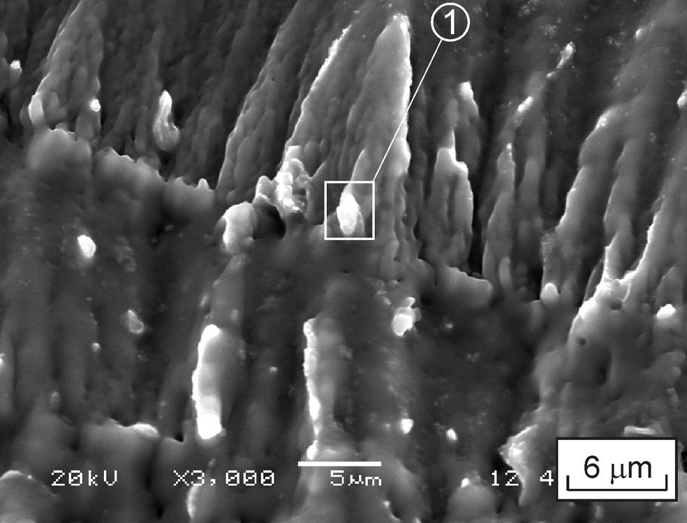 WELDING RESERCH Fig. 14 SEM photographs of crack surfaces in welds made using a rectangular pulse shape with peak power density of 11.