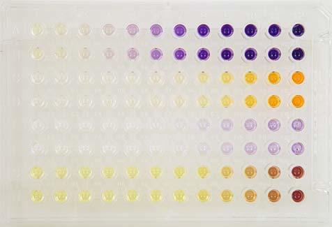 Biolog Redox Dye Comparison: Sensitivity cells per ml cells per well 3.12e3 156 1.25e4 625 5.0e4 2.5k 2.