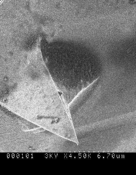 Figure 69. AFM Probe tips after machining, normal and zoomed view 5.4.