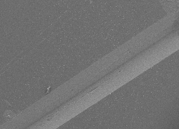 using carbon nanotubes 500 µm