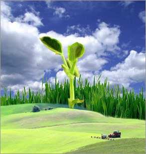 Organic Agriculture Global Situation, 2011 1.6m organic farms in 160 countries 37.