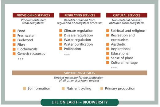 Ecosystem services Water cycling