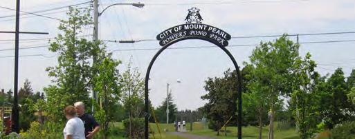 Vision Mount for Pearl Council wants