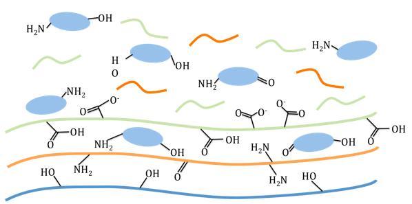 Acellular Drug Delivery Alternating layers of hydrogen-bonded