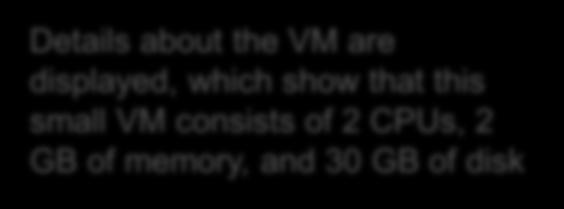 Details about the VM are displayed, which show