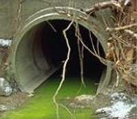 This water is often polluted by pesticides being sprayed on crops, sewage, or chemical waste from industries.