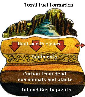 Sedimentary Processes Slide 75 / 144 Fossil fuels (coal, oil and natural gas) are a natural energy resource that contain solar energy