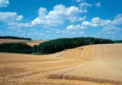 Challenges for Agri-Businesses Limited arable land coupled with rising demand Safeguard and increase yields from constant land area better resource management (targeted use of crop protection,
