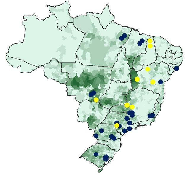 Yara Brazil: Strong market presence complements differentiated product portfolio Unrivalled presence: 28 sites in 11 states Farmer-centric strategy drives growth > 20,000 growers using Yara solutions