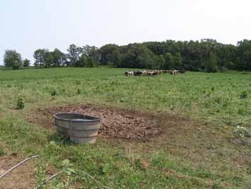 Vet Rec 155, 237-239 Grazing cows may be exposed to heat stress and flies with limited access to water and shade.