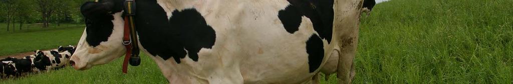 Precision dairy technologies should not be used as a substitute