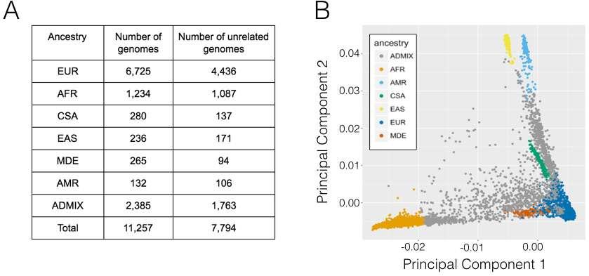 Supplementary Figure 1 Genetic ancestry of the study population a, Number of genomes sharing each ancestry. b, Principal-component analysis (PCA) of the study population.