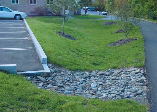 Infiltration BMPs Typical infiltration BMPs concentrate stormwater into a