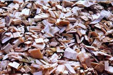 Solid Biomass Wood Chips Wood chips come from cut wood from forestry logging residues, purpose grown energy willow or as a co-product from industrial wood processing.