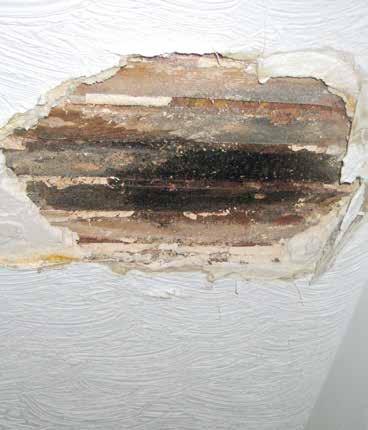 Avoid Costly Water Damage FREE