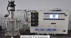 High Performance Liquid Chromatography:
