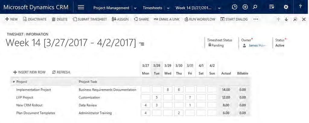 Crowe Project Management for Microsoft Dynamics CRM 13 Timesheet Form