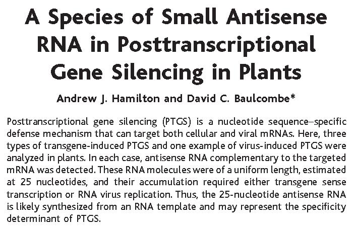 Small Interfering RNA s Science 29 Oct