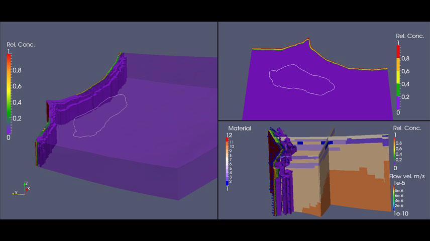 DENSITY DEPENDENT, 3D SIMULATION Hannover, March, 14th 2012